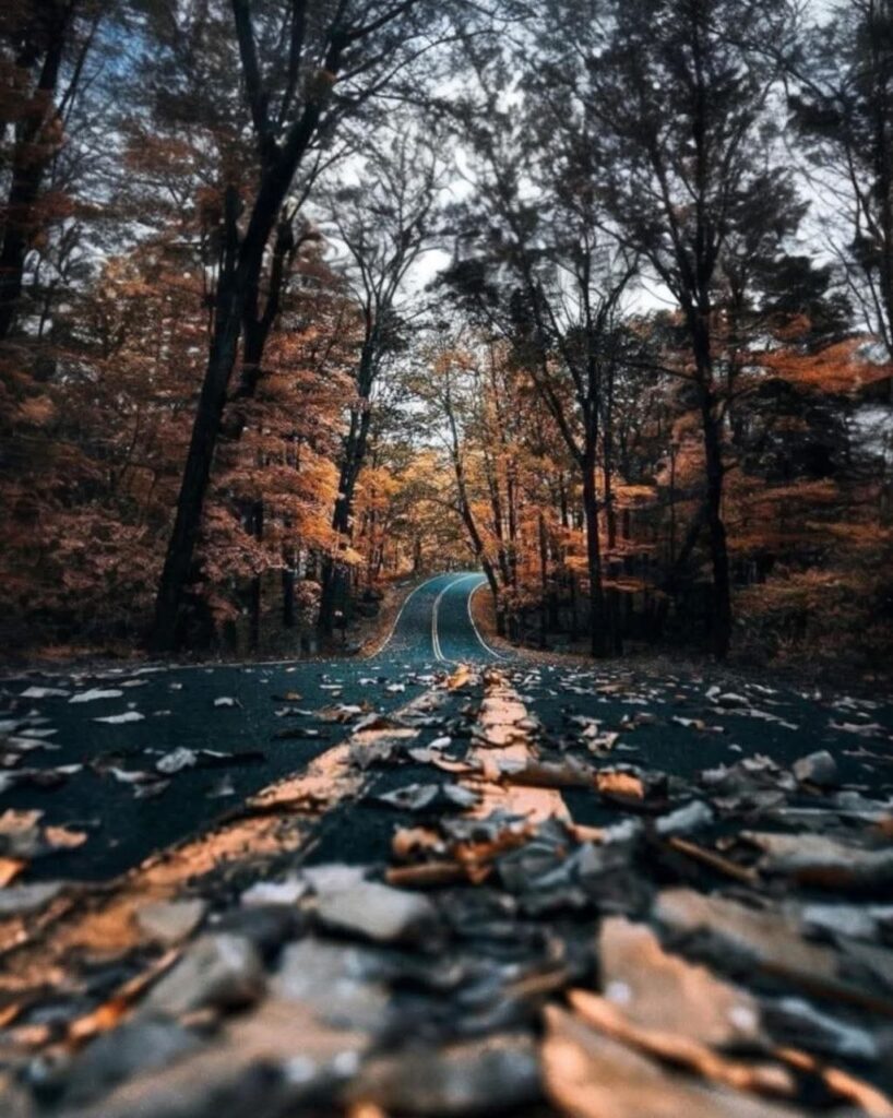 photo 2026 03 22 14 02 00